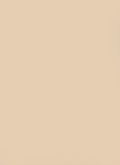 Melamine Beige 0788