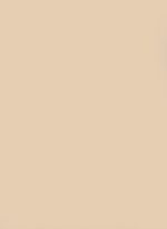 Melamine Beige 0788