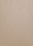 Melamine Tawny Rays 3010