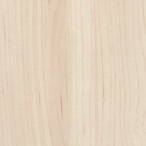 EGGER H3860 ST9 Champagne Hard Maple