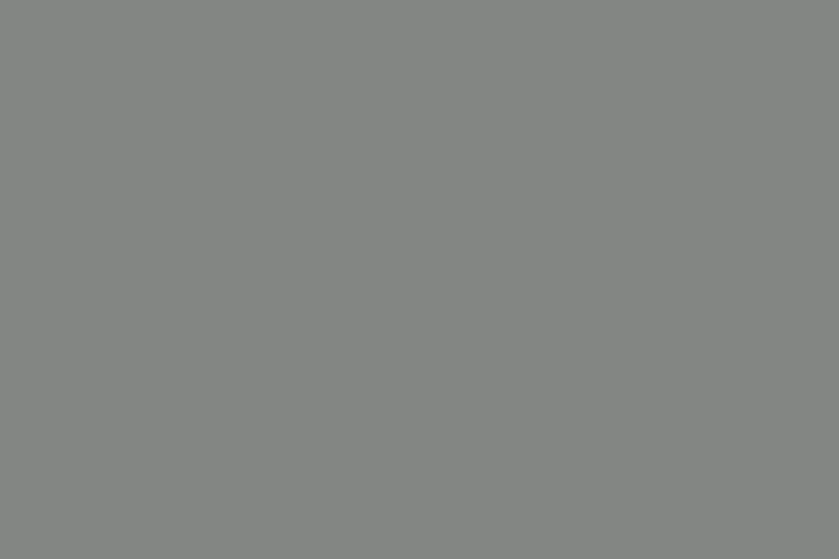 EGGER MDF PERFECT SENSE U732 PM Dust Grey