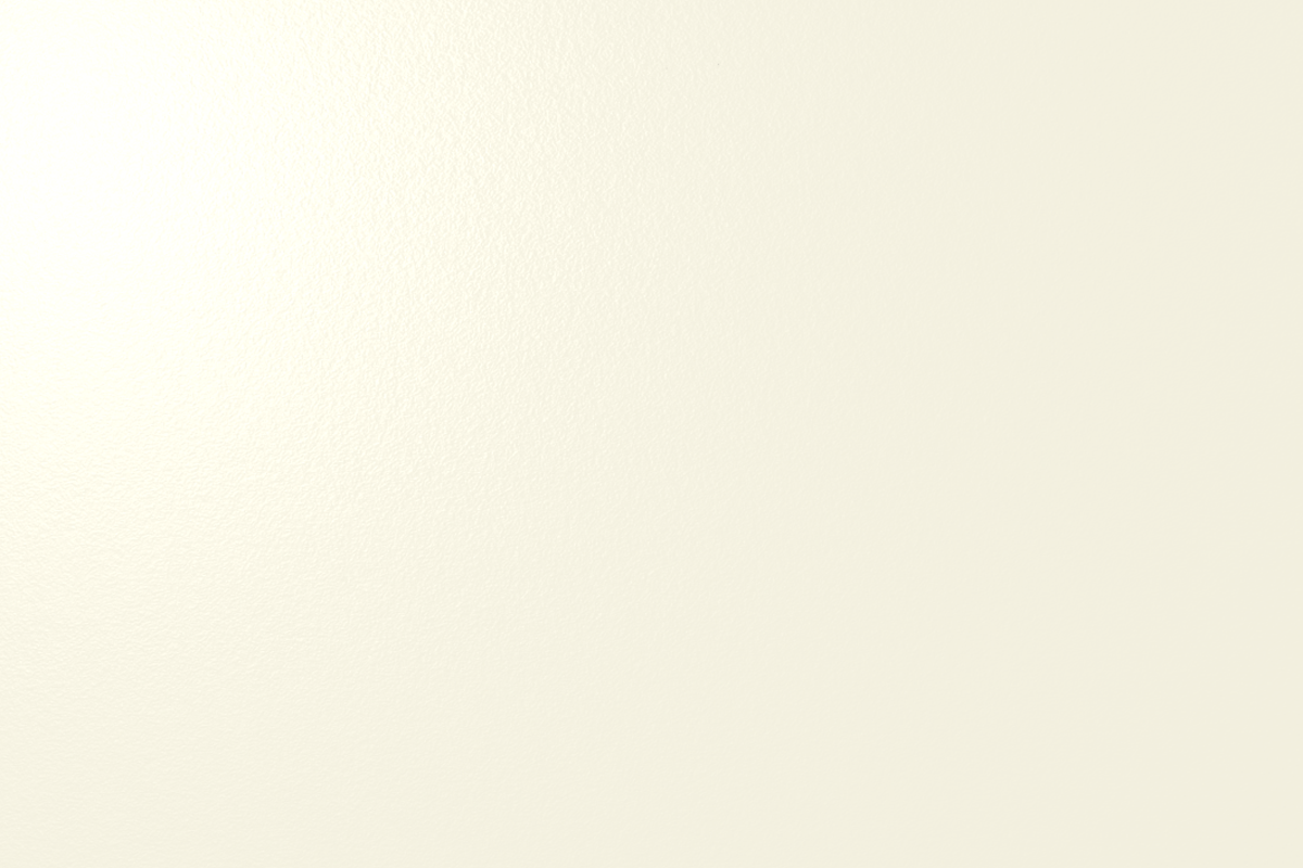EGGER W1200 ST9 Porcelain White